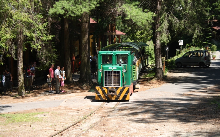 Pálházi Állami Erdei Vasút