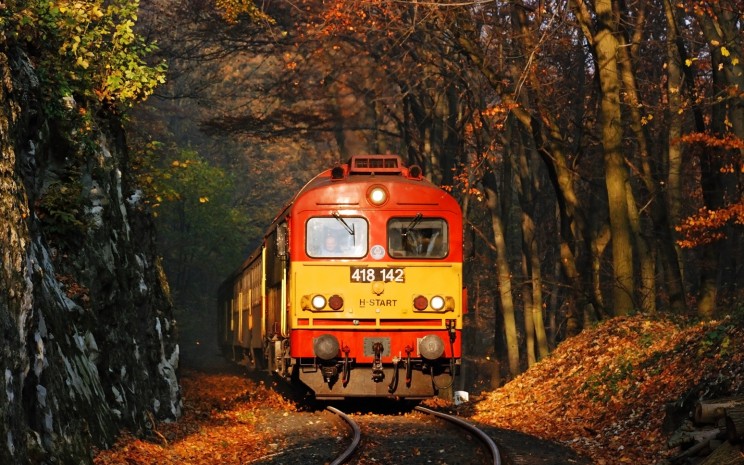 csörgő