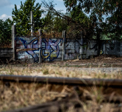 tisztítsuk meg az országot