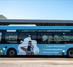 Zöld busz