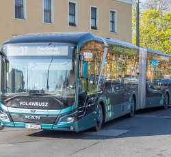 Fotó: Székesfehérvár Megyei Jogú Város Önkormányzata