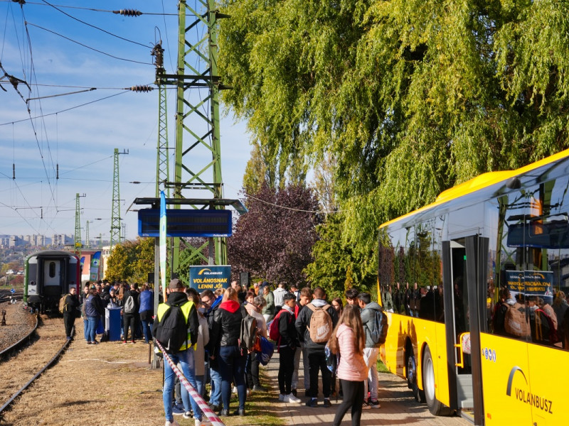 Busz